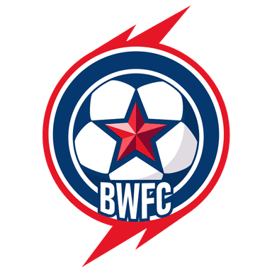 Ball Wonder FC Logo