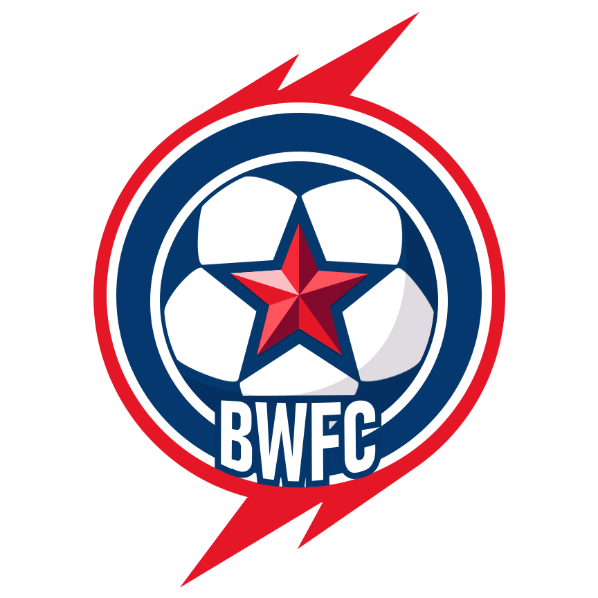 Ball Wonder FC Logo